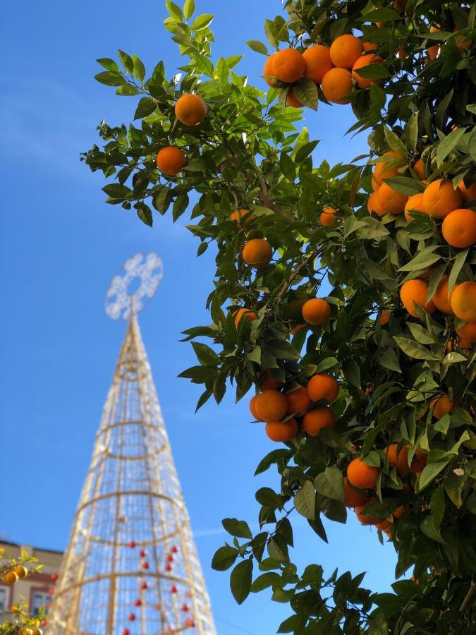 Picasso City Center 1A Малага Екстер'єр фото